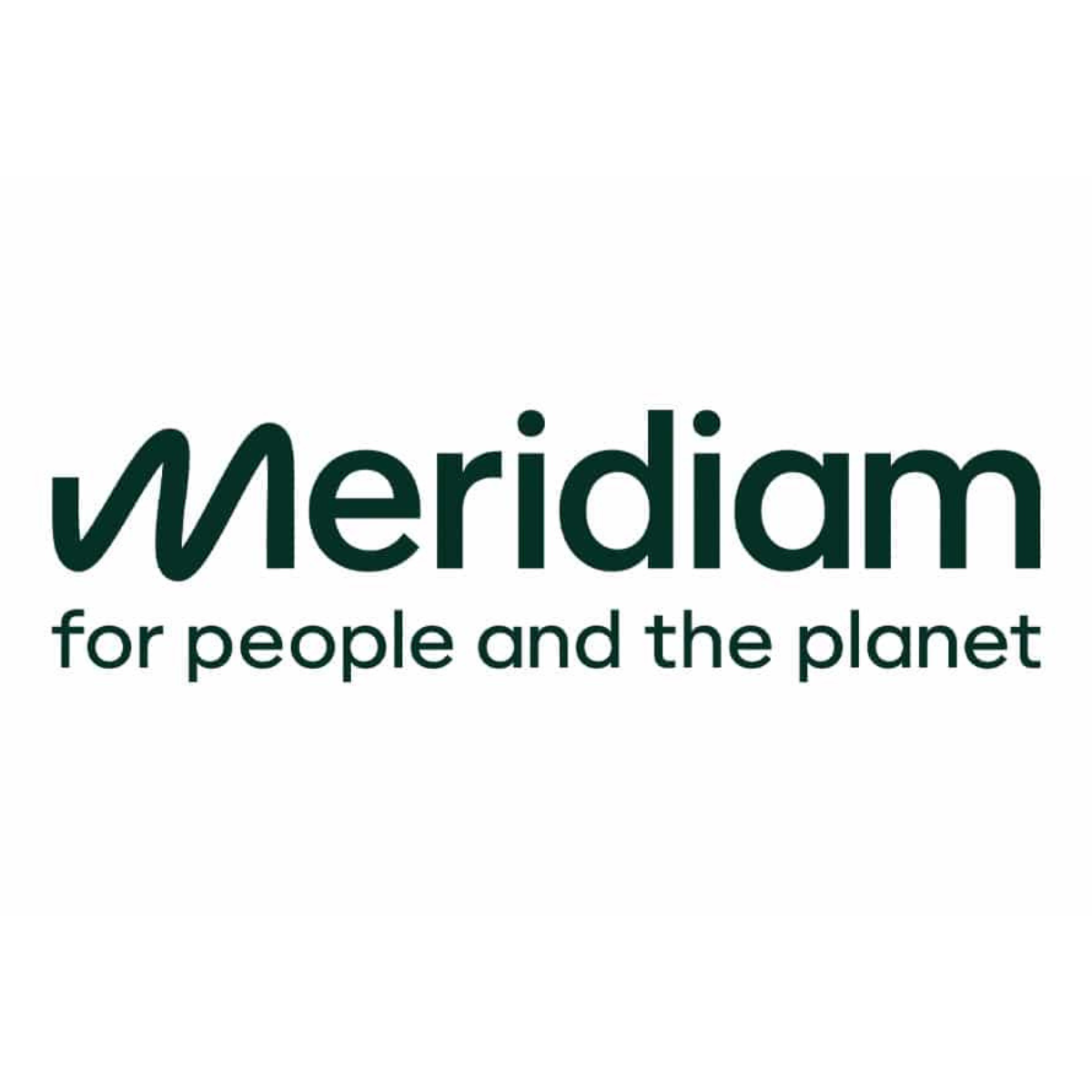 logo meridiam carré