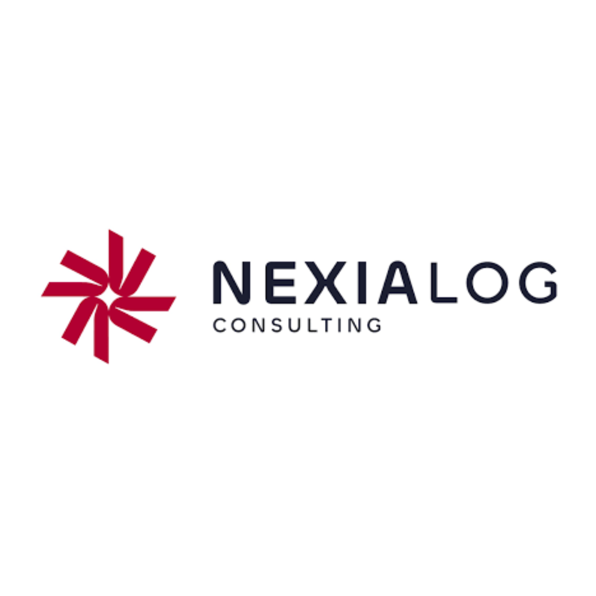 logo nexialog carré